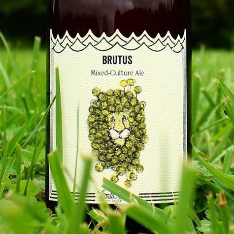 Brutus (Vintage) by Fonta Flora Brewery