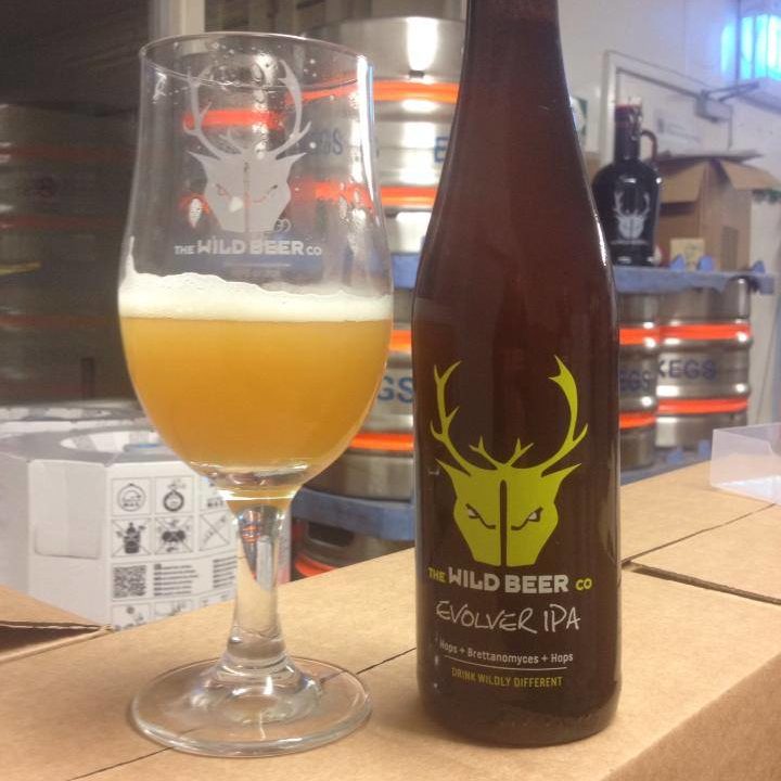 Evolver by The Wild Beer Co