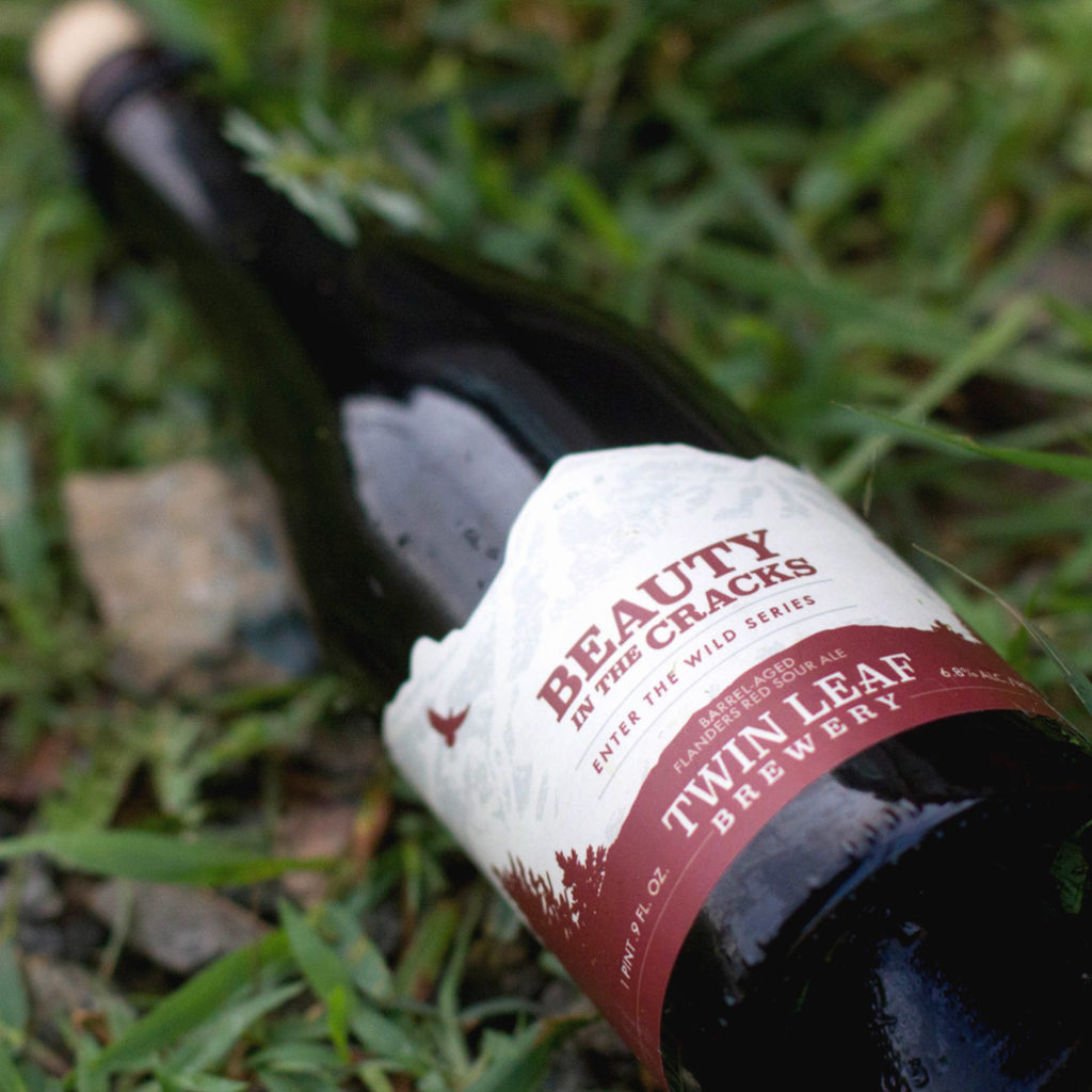 Beauty In The Cracks by Twin Leaf Brewery