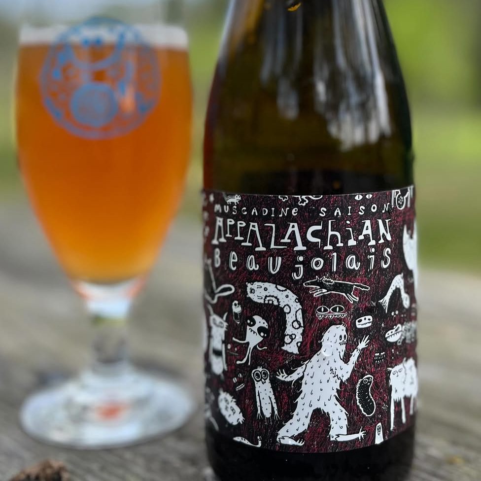 Appalacian Beaujolais by Steel String Brewery
