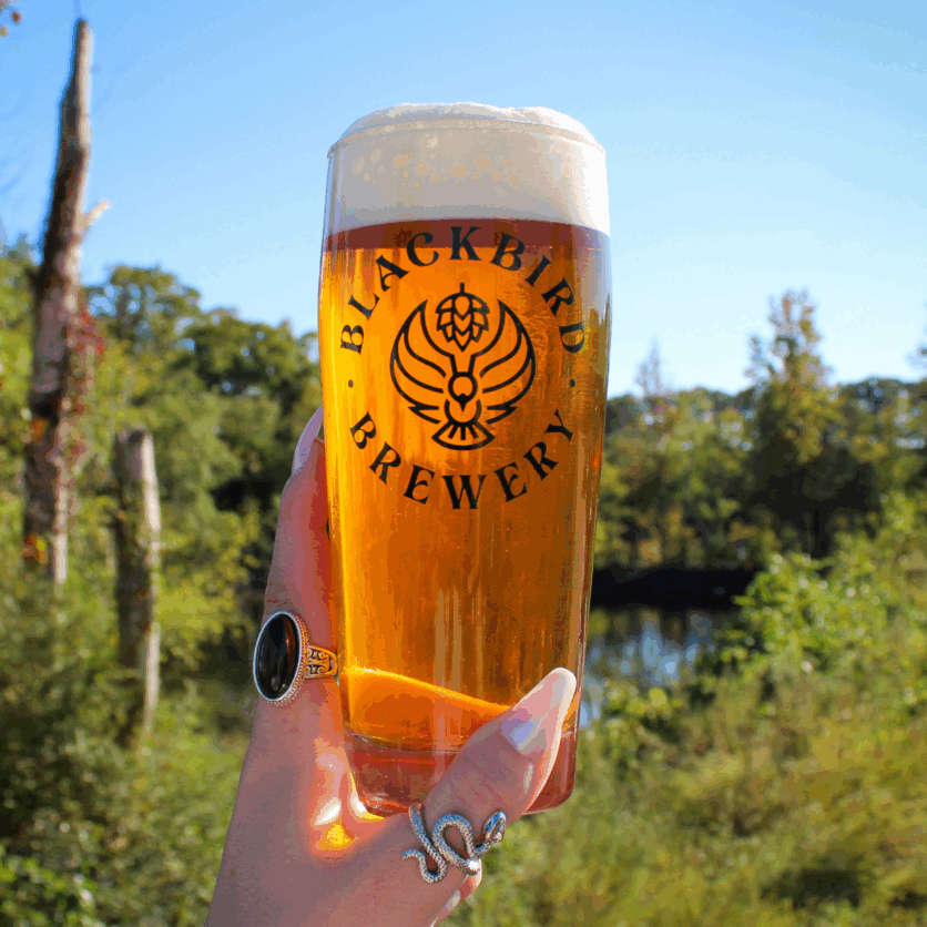 Crystal Lake by Blackbird Brewery